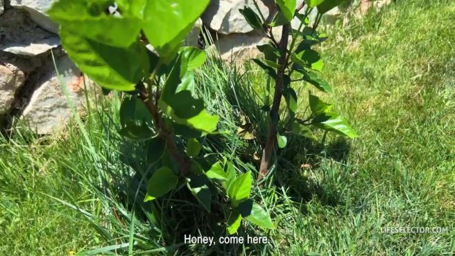 Девушки не хотят загорать у бассейна а хотят ЖМЖ секса